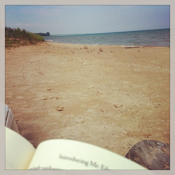 Open book in front of a beach