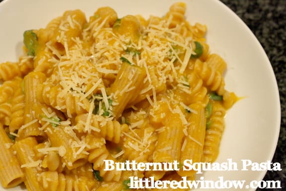 Butternut Squash Pasta Sauce with fresh basil on Little Red Window