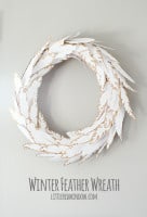 winter feather wreath