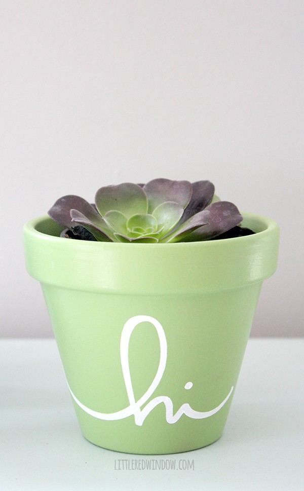 Closeup of green HI flower pot