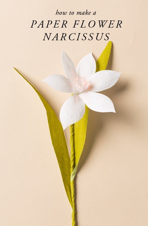 how-to-make-a-paper-flower-narcissus