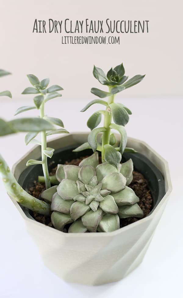 Air Dry Clay Faux Succulent tutorial, perfect if you don't have a green thumb! | littleredwindow.com 