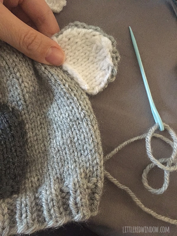 Hand holding knit koala ears showing where to sew them on the top of the koala hat