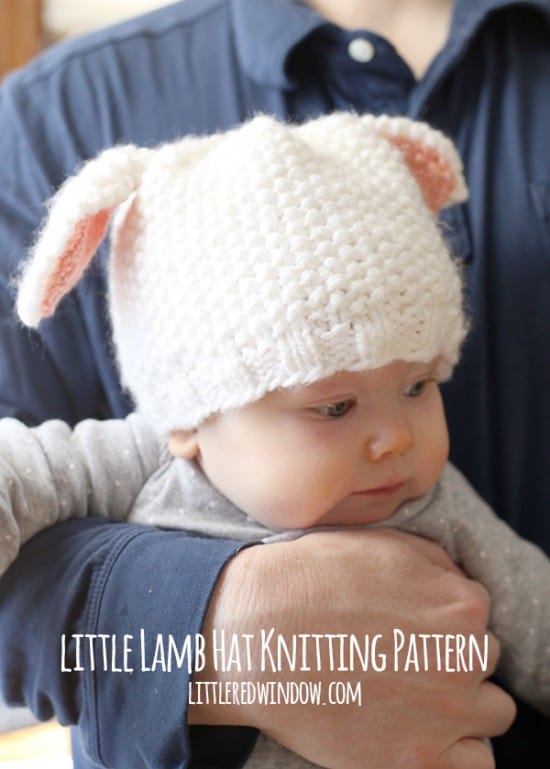 Little Lamb Hat Knitting Pattern Little Red Window