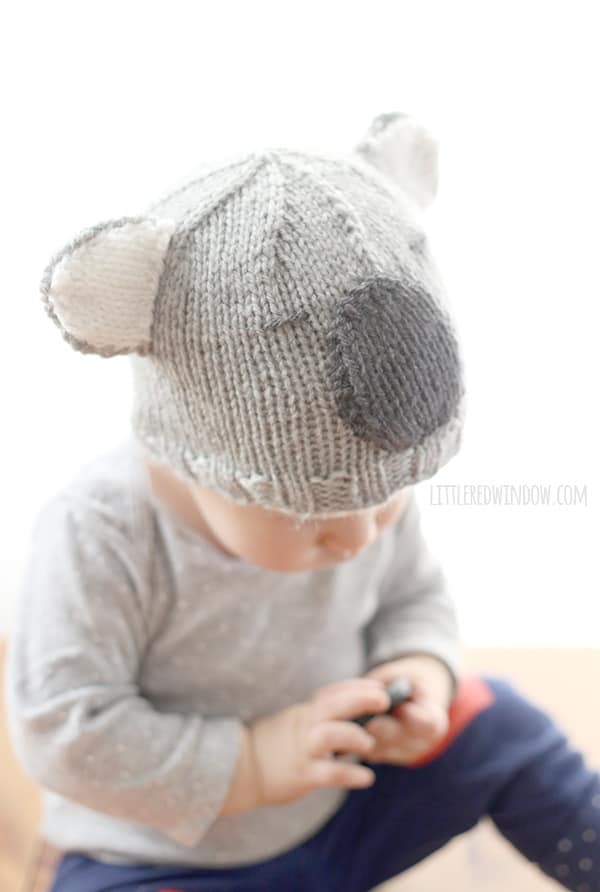 Baby in gray shirt and navy pants wearing a gray knit koala hat looking down at something in their hands in front of a white background