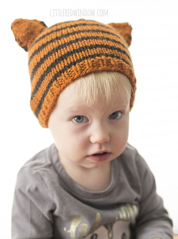 Tiny Tiger Hat Knitting Pattern for Babies! | littleredwindow.com