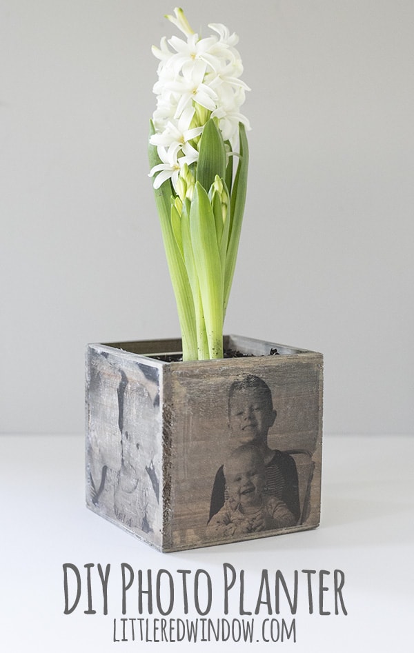 DIY Photo Planter, transfer cute family photos to this adorable wood planter, it's a perfect gift for Mother's Day! | littleredwindow.com