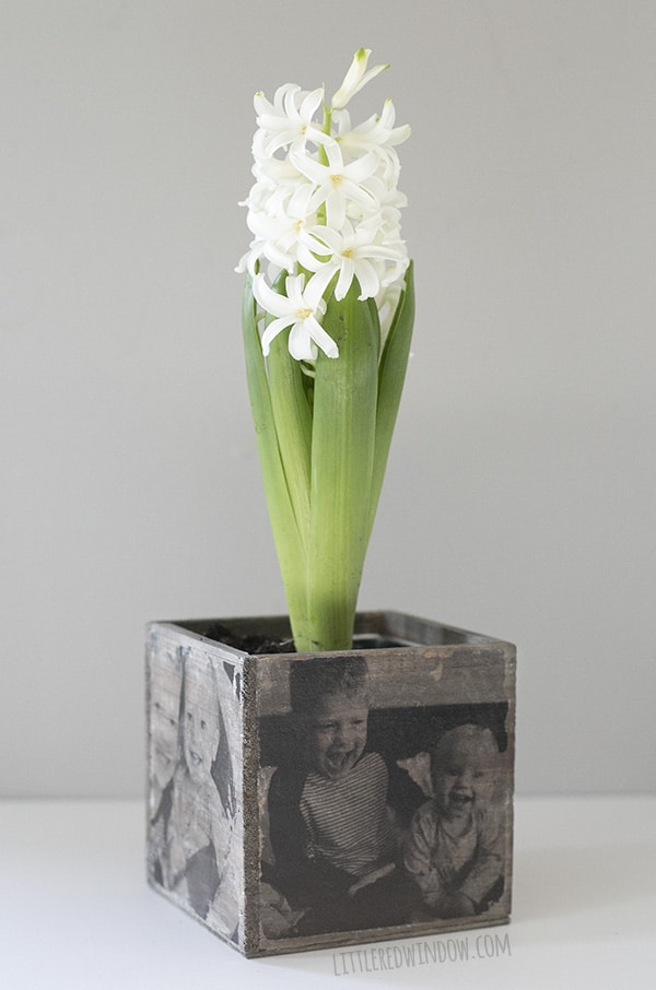 DIY Photo Planter, transfer cute family photos to this adorable wood planter, it's a perfect gift for Mother's Day! | littleredwindow.com
