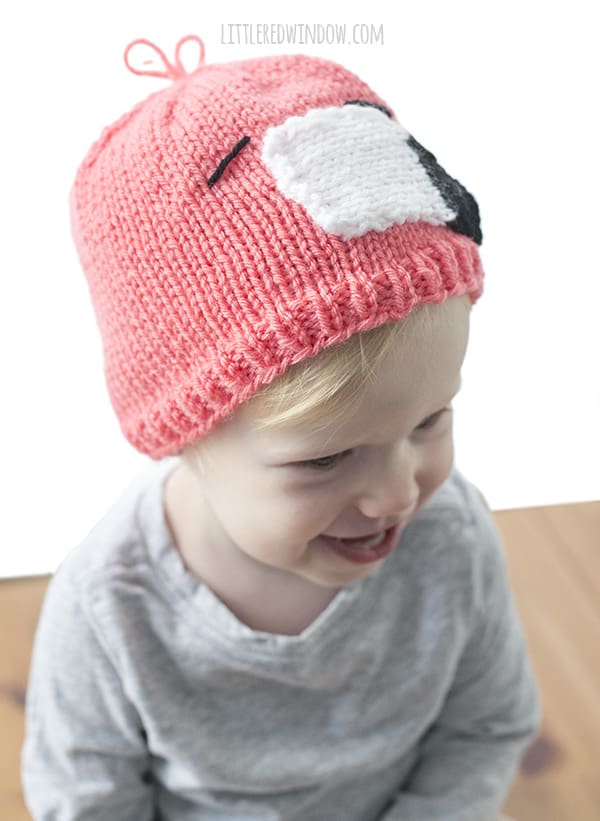 Pink Flamingo Hat Knitting Pattern for newborns, babies, and toddlers! | littleredwindow.com