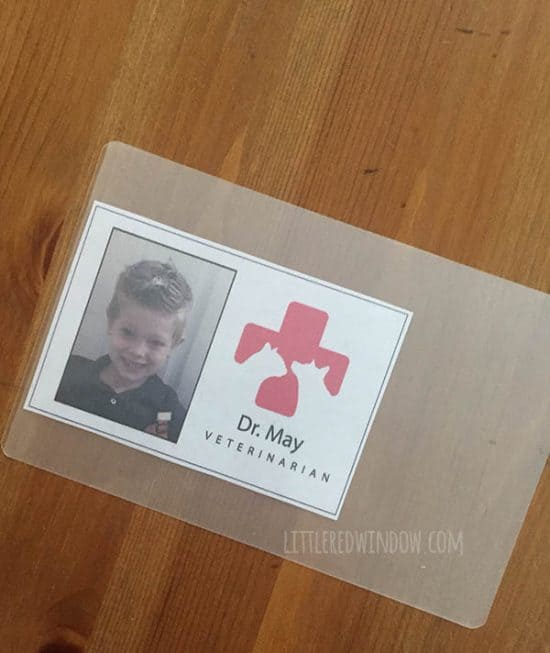 DIY Veterinarian Costume Little Red Window