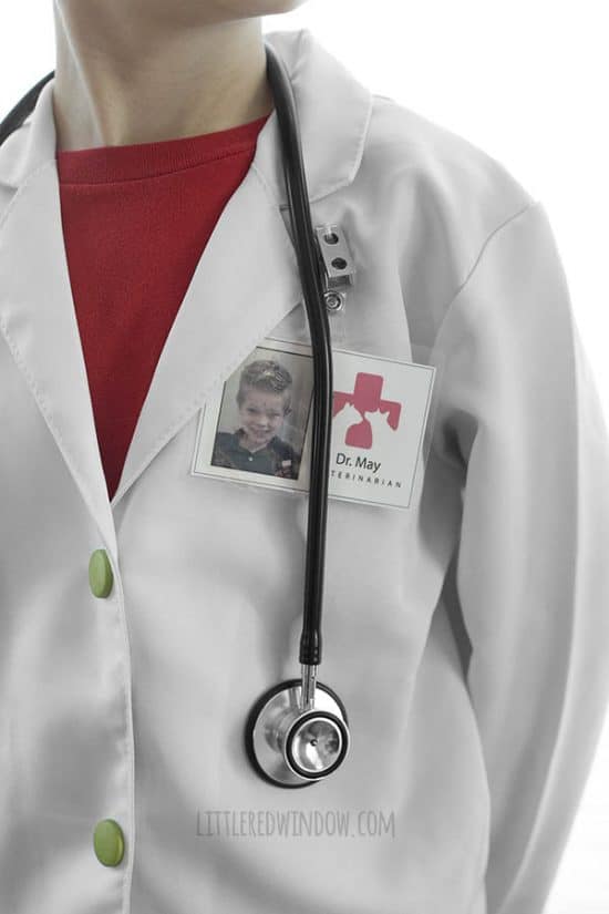 DIY Veterinarian Costume Little Red Window