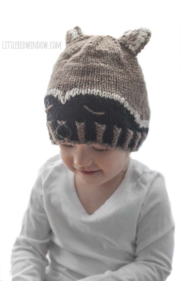 Sleepy Raccoon Baby Hat Knitting Pattern, a fun woodland pattern for your newborn, baby or toddler! | littleredwindow.com