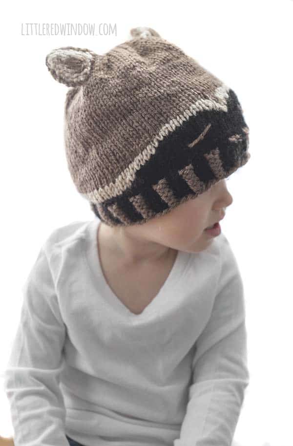 Sleepy Raccoon Baby Hat Knitting Pattern, a fun woodland pattern for your newborn, baby or toddler! | littleredwindow.com