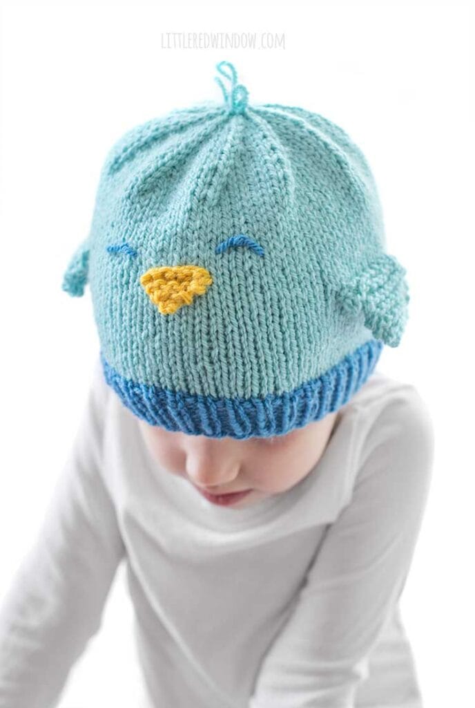 closeup from above of baby bluebird hat with little wings and cute triangle yellow beak